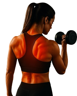 bfit premium rueckenschmerz